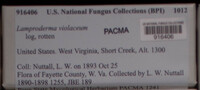 Image Associated With the Occurence